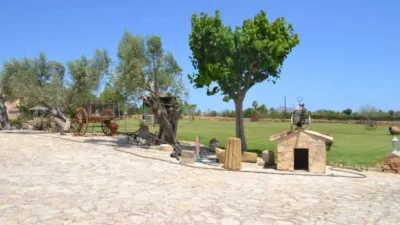 Rustic house in Santa Margalida photo 12