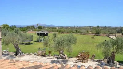 Rustic house in Santa Margalida photo 40