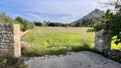 Rustic property in Alcúdia photo 5