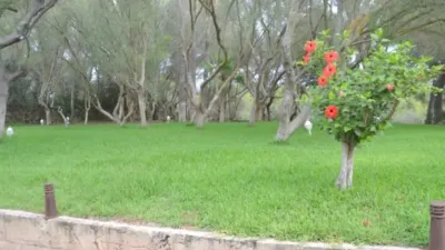 Rustic house in Algaida photo 18