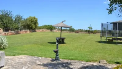 Rustic house in Santa Margalida photo 30