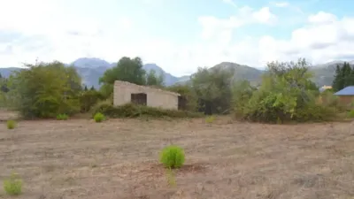 Rustic house in Campanet photo 6