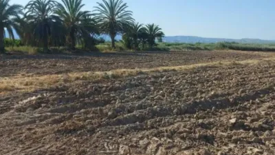 Terreno en venta en Catral - Vista 3