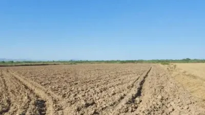 Terreno en venta en Catral - Vista 2