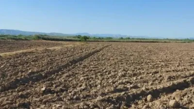 Terreno en venta en Catral - Vista 4