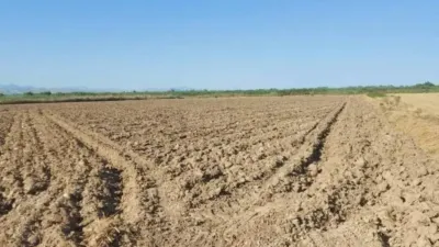 Terreno en venta en Catral - Vista 5