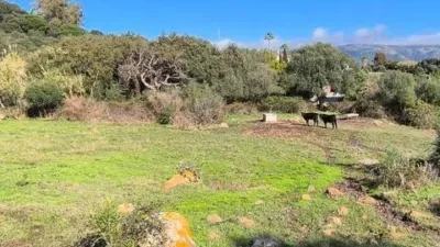 Rustic house in Tarifa photo 10
