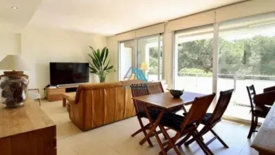 Penthouse on Carrer de la Selva photo 3