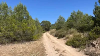 Terreno en venta en Hellín - Vista 5