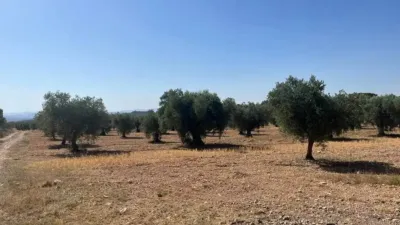 Terreno en venta en Hellín - Vista 4