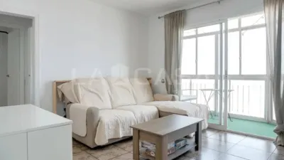 Apartment in La Gavarra photo 3