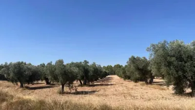 Terreno en venta en Hellín - Más