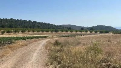 Terreno en venta en Hellín - Vista 3