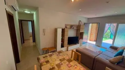 Apartment on Chumbera Street photo 9