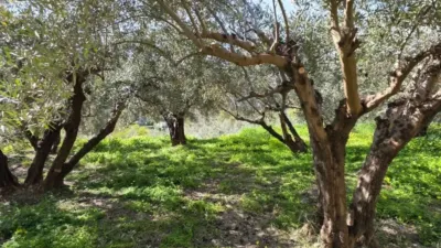 Rustic property in Canjáyar photo 15