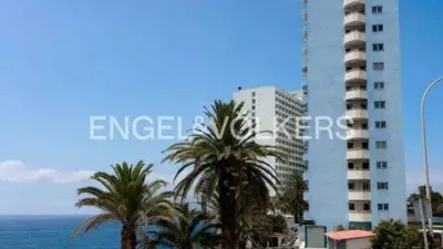 Apartment in Los Realejos photo 2