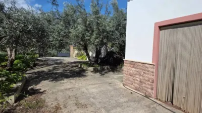 Rustic property in Canjáyar photo 13