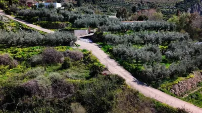 Rustic property in Canjáyar photo 7
