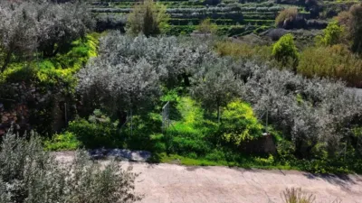 Rustic property in Canjáyar photo 6