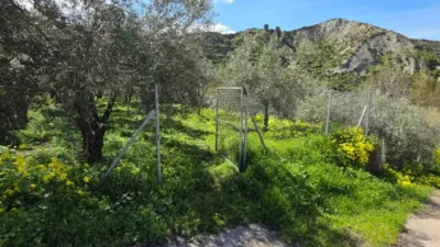 Rustic property in Canjáyar photo 39