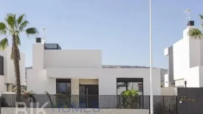 Chalet in Algorfa photo 31