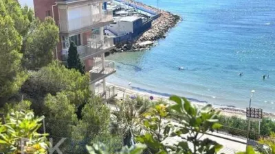 Pis – Orihuela, Mil Palmeras - Vista 4