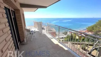 Pis – Orihuela, Mil Palmeras - Vista 3