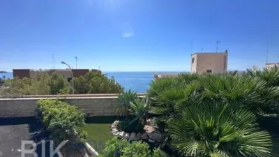 Pis – Orihuela, Mil Palmeras - Més