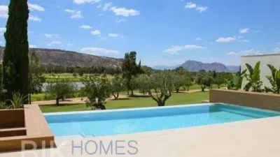 Chalet in Algorfa photo 32