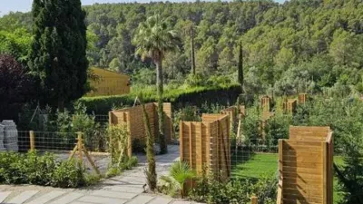 Apartment on Avinguda de Catalunya photo 5