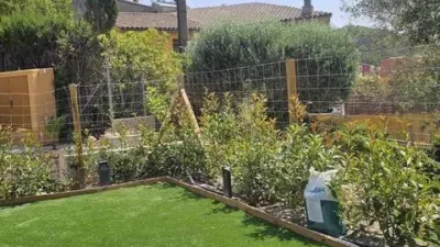 Apartment on Avinguda de Catalunya photo 22