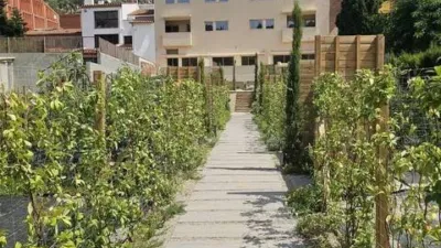 Apartment on Avinguda de Catalunya photo 15