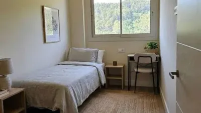 Apartment on Avinguda de Catalunya photo 23