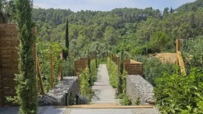 Apartment on Avinguda de Catalunya photo 38