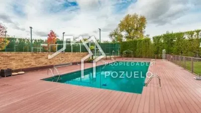 Chalet en Las Vegas-El Pozanco-Adelfillas photo 17