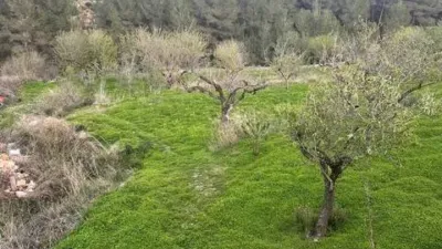Terreno en venta en Benissa Pueblo - Vista 4