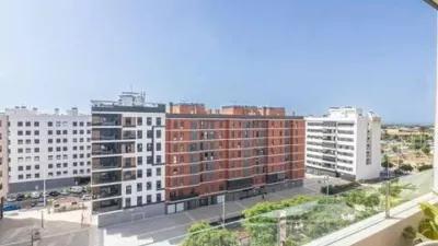 Penthouse in Sector V-El Canal photo 45