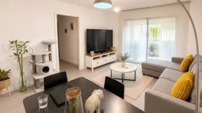 Apartment in Orcasur photo 4