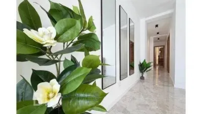 Penthouse in the Centre photo 19