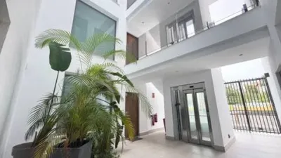 Apartment in Santa Pola photo 9