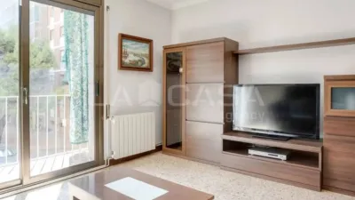 Apartment in Sant Martí de Provençals photo 7