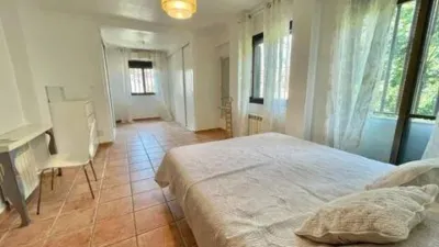 House in Orihuela photo 25