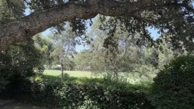 Chalet in Barrio San Roque photo 8
