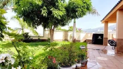 Chalet in Puerto de Santiago photo 22