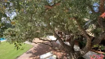 Chalet in Barrio San Roque photo 9