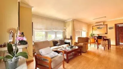 Apartment in Palamós photo 4