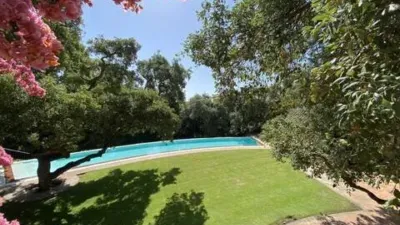 Chalet in Barrio San Roque photo 35