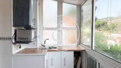 Apartment in Bellamar photo 2