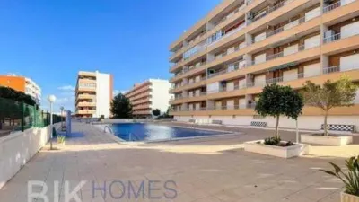 Pis – Orihuela, Urbanización San José IV R2, Urbanización La Zenia II - Vista 4