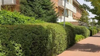 Penthouse in Boadilla del Monte photo 45